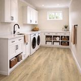 Sapwood Reserve Cambium Laminate