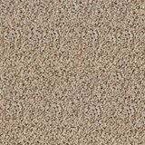 Sunny Isles Color Spring Wheat