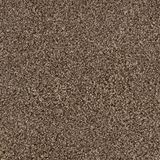 Elliston Color Genesis