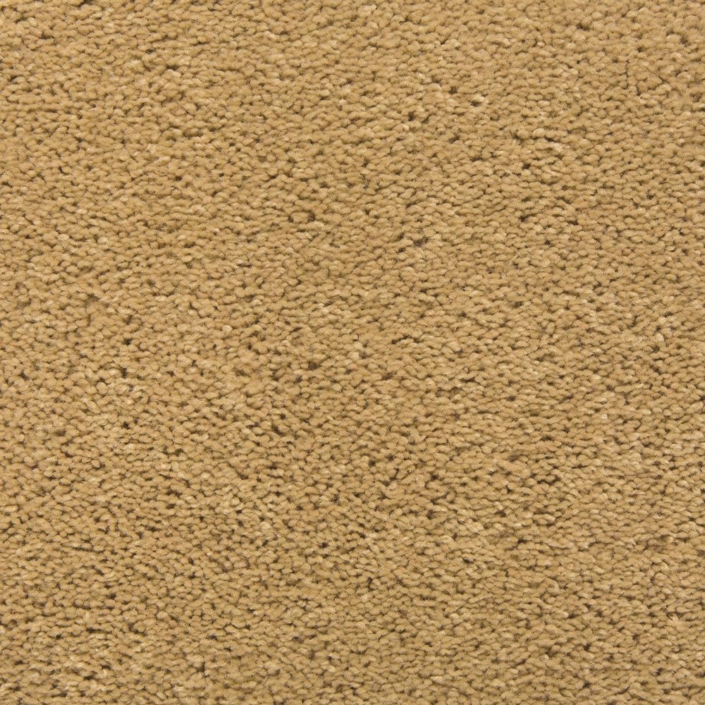 Alpine Color Sycamore