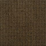 Big Time Color Black Gold