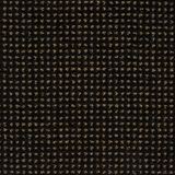 Big Time Color Carbon