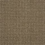 Big Time Color Earthy