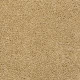 Brentwood Color Cashew