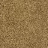 Brentwood Color Java