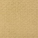 Casual Mood Color Calm Cream