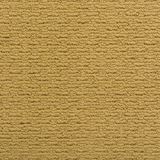 Casual Mood Color Winter Wheat