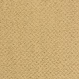 City Park Color Fireworks