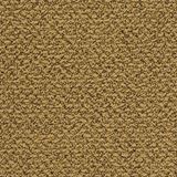 City Park Color Grant Park