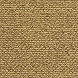 City Park Color Lake Front