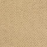 City Park Color On The Dock