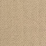 City Park Color The Drive