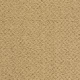 City Park Color The Fountain