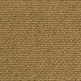 City Park Color The Loop