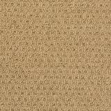 Dream Catcher Color Beach Sand