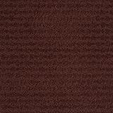 Envision Color Berry