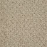 Envision Color Canvas