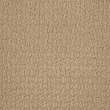 Envision Color Dunes