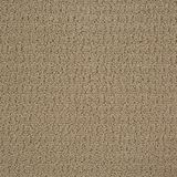 Envision Color Frost