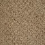 Envision Color Mushroom