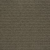 Envision Color Pewter