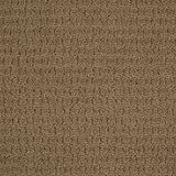 Envision Color Prairie