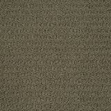 Envision Color Silver Sage