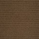 Envision Color Townhouse