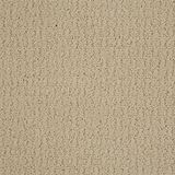 Envision Color Winter White