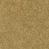 Gilmer Color Whole Grain