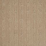 Marquis Color Birch