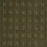Marquis Color Coctail Olive