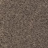 Palmetto Color Bay Breeze