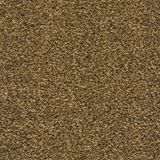Pavilion Color Toffee