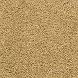 Pendleton Color Flax Seed