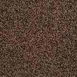Shimmer Color Chocolate Pizzazz