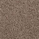 Shimmer Color Razzle Tan