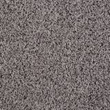 Shimmer Color Dazzling Gray