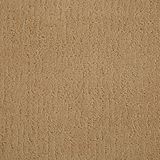 Shindig Color Golden Fleece