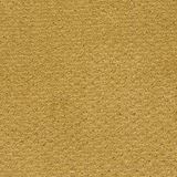 Sweet N Simple Color Golden Fleece