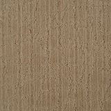 Symphony Color Birch