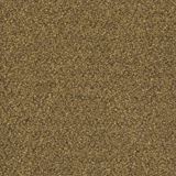 Tenbrooke II Color Oat Straw