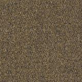 Tenbrooke II Color Sandwashed Driftwood