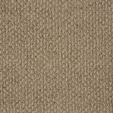 Calverton Color Shearling