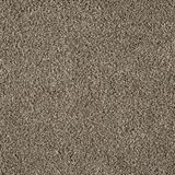 Cloud Nine Color Silent Sands