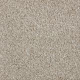 Impress Color Enliven