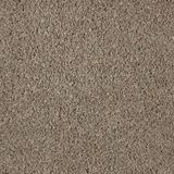 Impress Color Bewilder