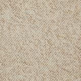 Walk This Way Color Desert Sand