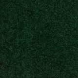 Lustrous Color Enchanted Meadow
