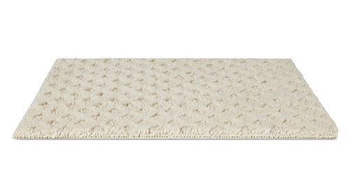 Monarch Pattern Carpet